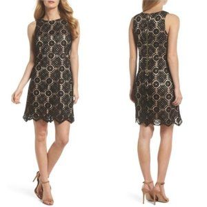 Eliza J Black Lace Overlay Cocktail Shift Dress Sleeveless | 2